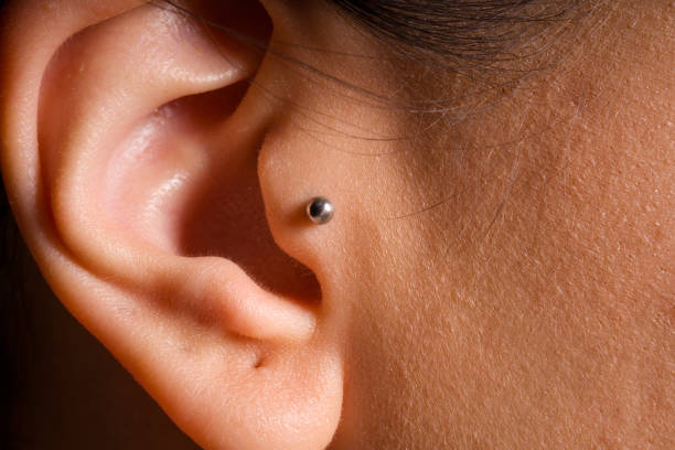 standard tragus piercing