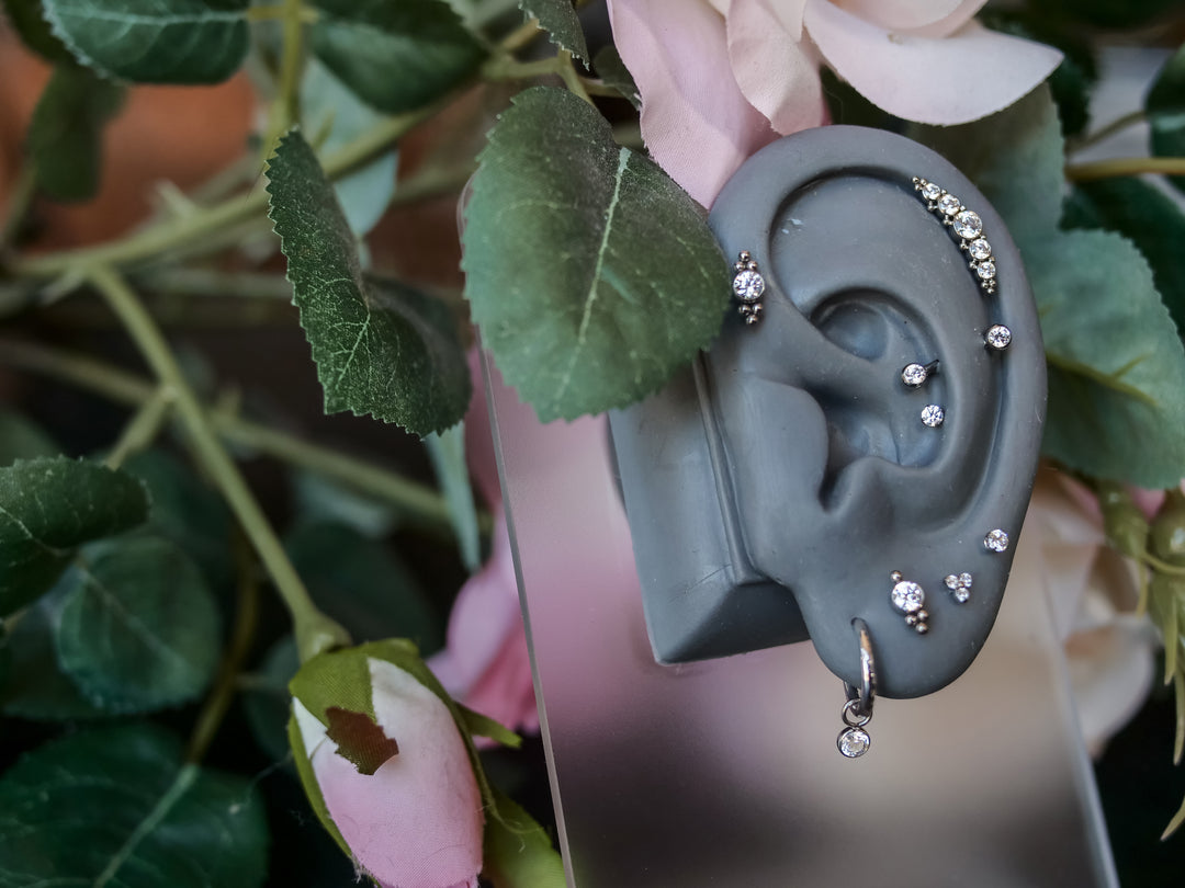 Conch Piercing