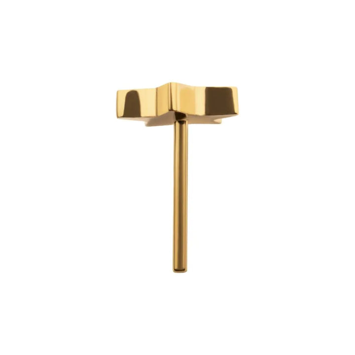 Gold earring on a white background