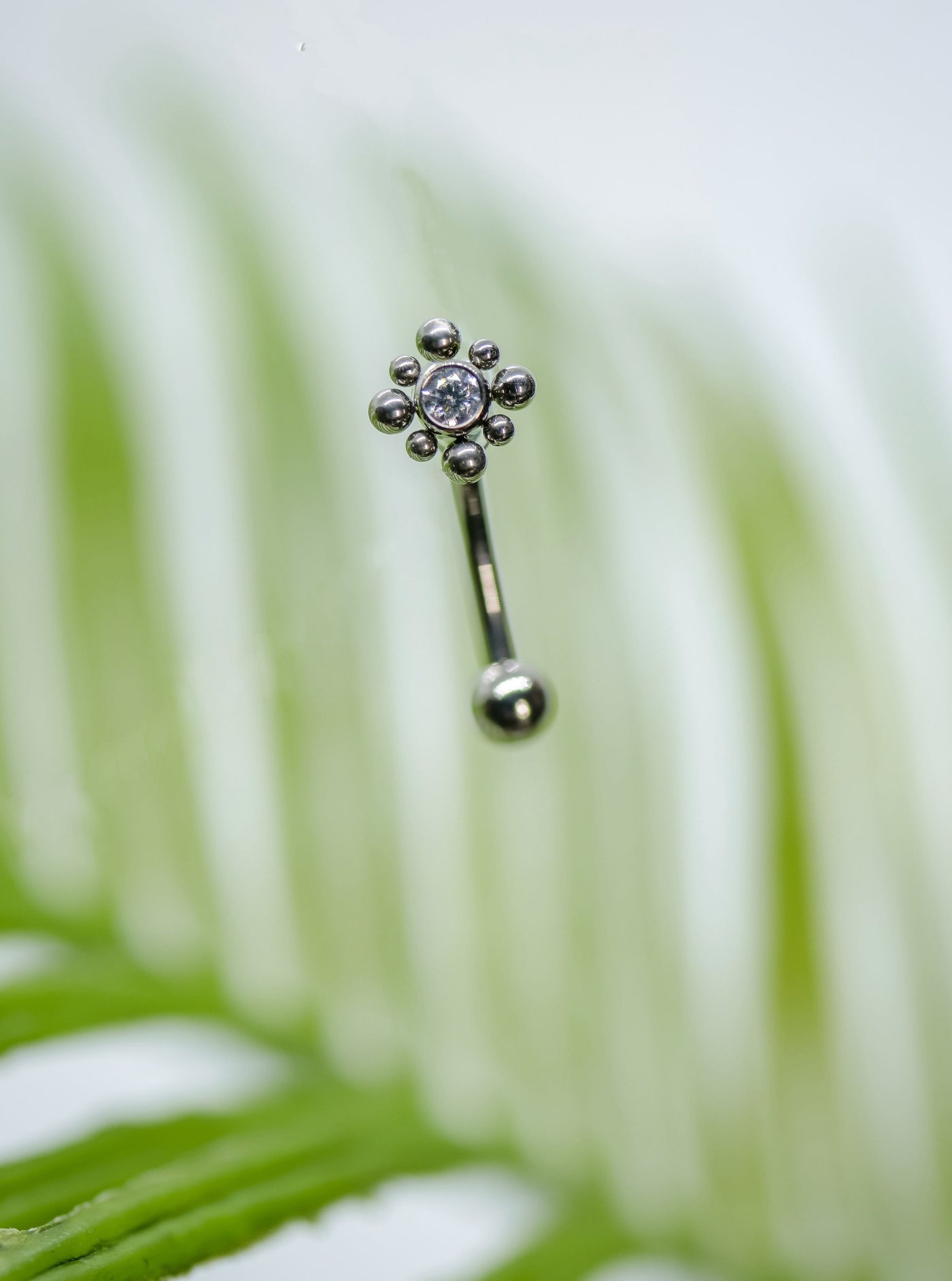 Beaded Bezel Flower Top Internally Threaded Curved Barbell by Invictus