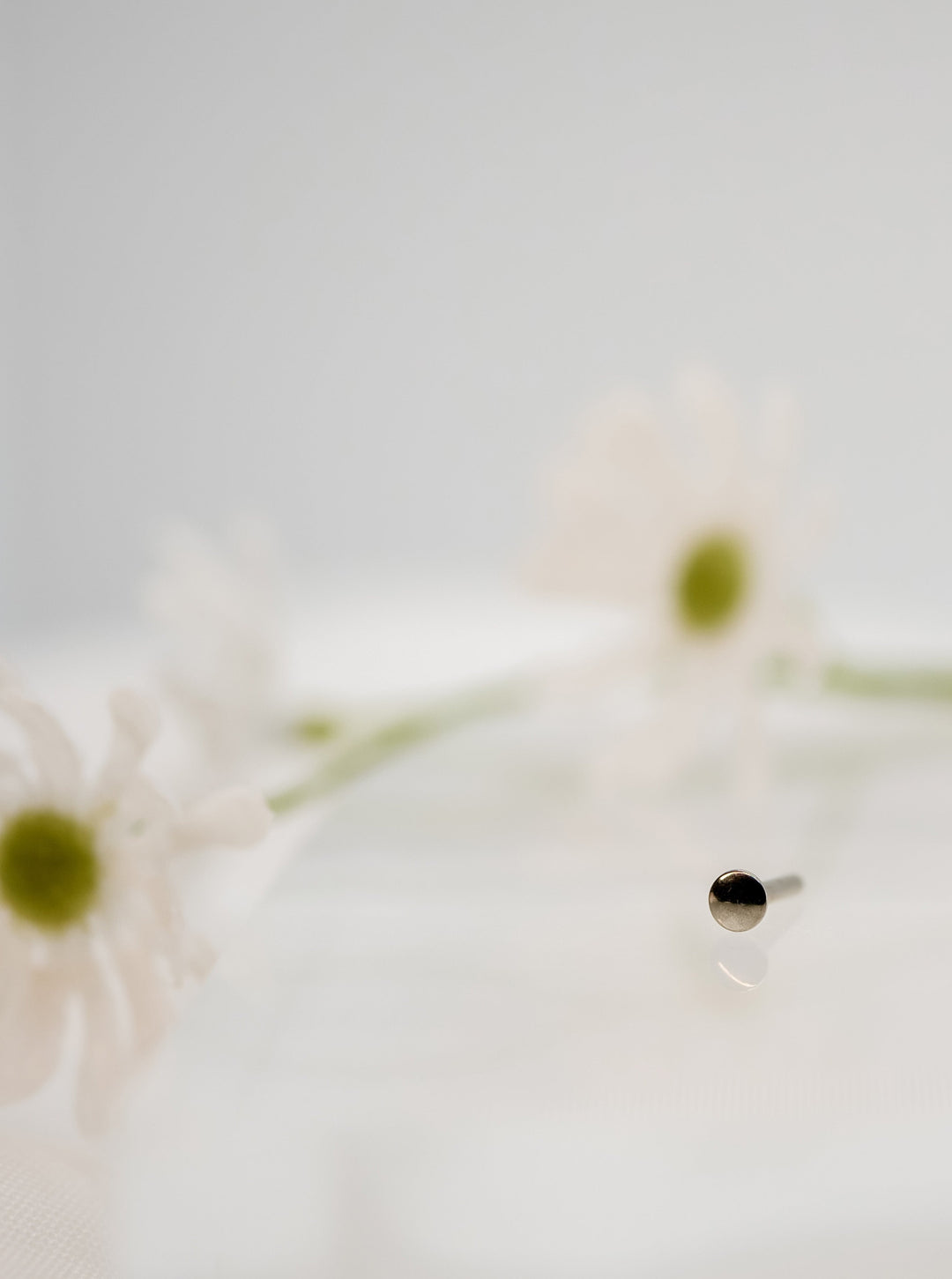 Threadless Titanium Flat-back Labret Post (Backing) – BodyALTAR