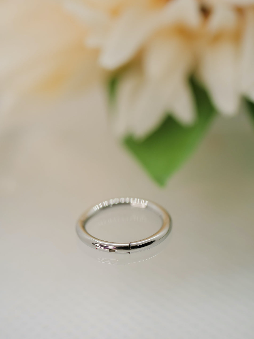 titanium clicker ring 